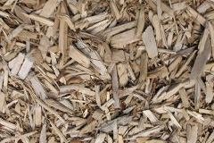 biomass boilers Gillbent